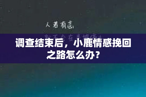 调查结束后，小鹿情感挽回之路怎么办？
