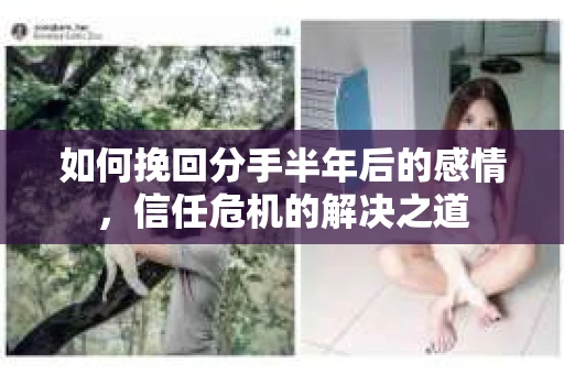 如何挽回分手半年后的感情，信任危机的解决之道