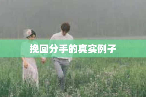 挽回分手的真实例子