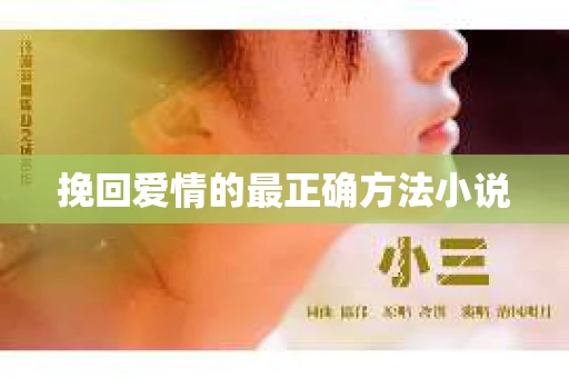 挽回爱情的最正确方法小说
