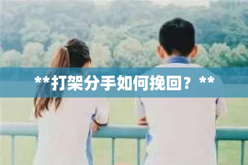 **打架分手如何挽回？**