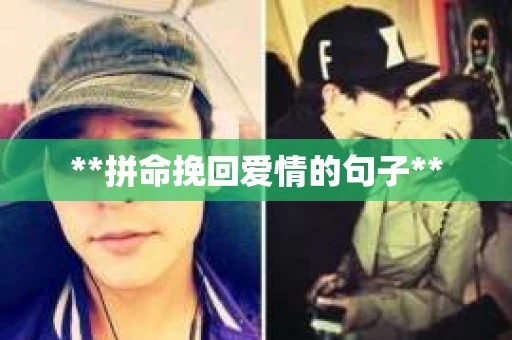 **拼命挽回爱情的句子**