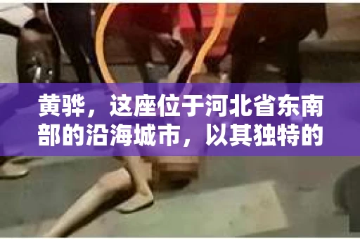 黄骅，这座位于河北省东南部的沿海城市，以其独特的地理位置和丰富的历史文化而闻名。然而，在这座城市中，还有一群人，他们以另一种方式默默守护着社会的公平与正义——私家侦探。今天，我们就来聊聊黄骅的私家侦探，看看他们是如何在这个城市中发挥作用的。