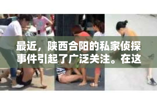 最近，陕西合阳的私家侦探事件引起了广泛关注。在这个信息爆炸的时代，隐私保护显得尤为重要。今天，我们就来聊聊这个事件，看看它背后的一些故事。