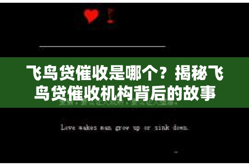 飞鸟贷催收是哪个？揭秘飞鸟贷催收机构背后的故事