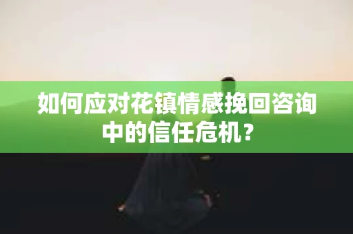 如何应对花镇情感挽回咨询中的信任危机？