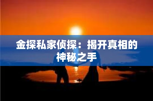 金探私家侦探：揭开真相的神秘之手