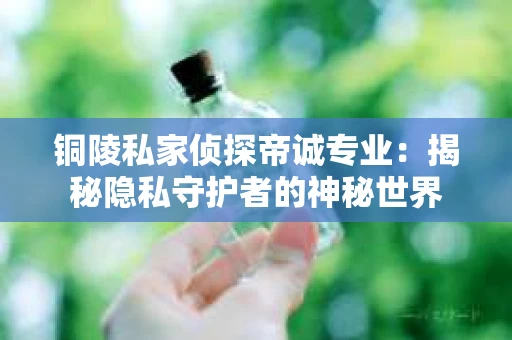 铜陵私家侦探帝诚专业：揭秘隐私守护者的神秘世界
