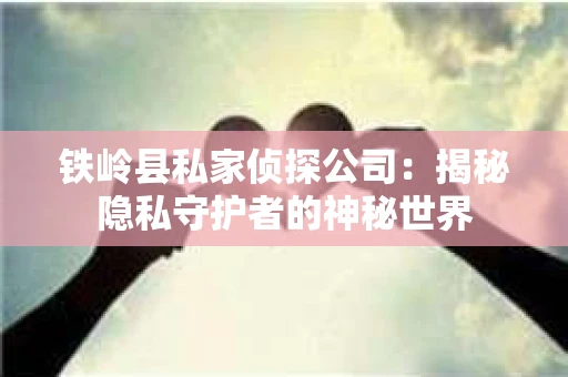 铁岭县私家侦探公司：揭秘隐私守护者的神秘世界