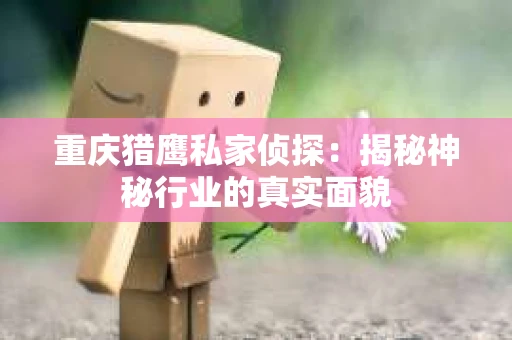 重庆猎鹰私家侦探：揭秘神秘行业的真实面貌