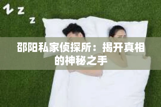 邵阳私家侦探所：揭开真相的神秘之手