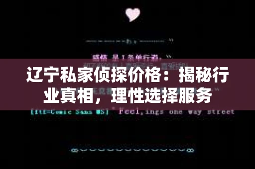 辽宁私家侦探价格：揭秘行业真相，理性选择服务