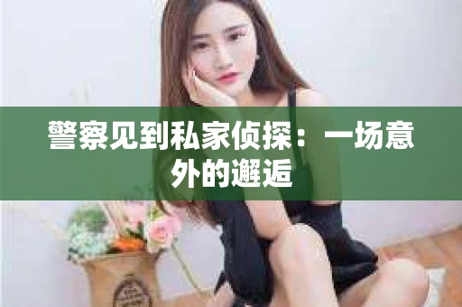 警察见到私家侦探：一场意外的邂逅