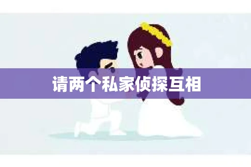 请两个私家侦探互相