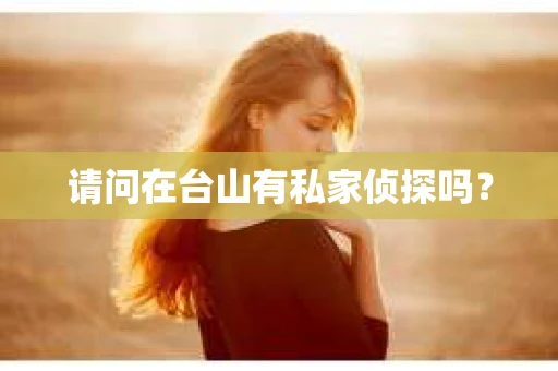 请问在台山有私家侦探吗？