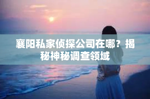 襄阳私家侦探公司在哪？揭秘神秘调查领域