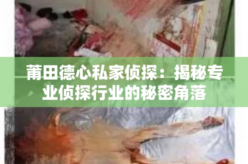 莆田德心私家侦探：揭秘专业侦探行业的秘密角落