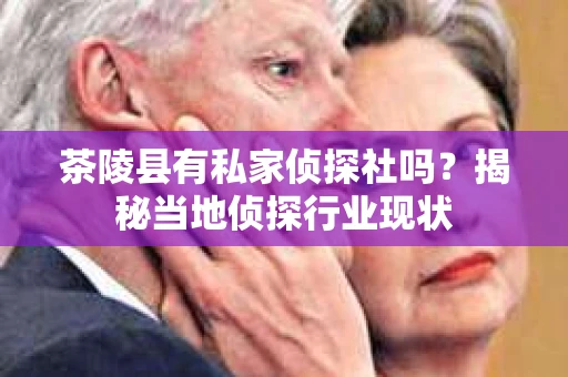 茶陵县有私家侦探社吗？揭秘当地侦探行业现状