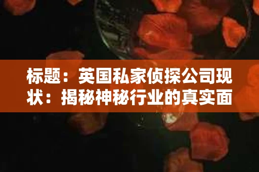 标题:英国私家侦探公司现状:揭秘神秘行业的真实面貌 标题:英国私家侦探公司现状:揭秘神秘行业的真实面貌