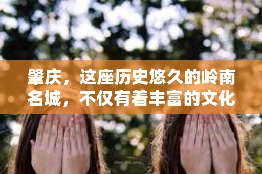 肇庆，这座历史悠久的岭南名城，不仅有着丰富的文化遗产，还有着独特的现代生活节奏。在这个城市里，你是否曾有过需要帮助解决一些棘手问题的时候？或许，你听说过肇庆有私家侦探，那么，他们究竟是怎样的存在呢？