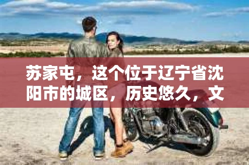 苏家屯，这个位于辽宁省沈阳市的城区，历史悠久，文化底蕴深厚。近年来，随着社会的发展，人们对于私家侦探的需求也逐渐增加。那么，苏家屯有私家侦探吗？今天，我们就来聊聊这个话题。
