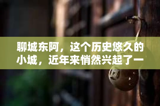 聊城东阿，这个历史悠久的小城，近年来悄然兴起了一股新的服务潮流——私家侦探。今天，我们就来聊聊这个话题，看看在聊城东阿，私家侦探是如何成为人们生活中的一部分的。