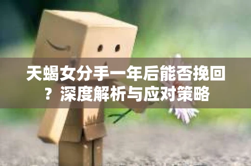 天蝎女分手一年后能否挽回？深度解析与应对策略