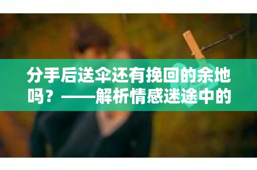 分手后送伞还有挽回的余地吗？——解析情感迷途中的决策