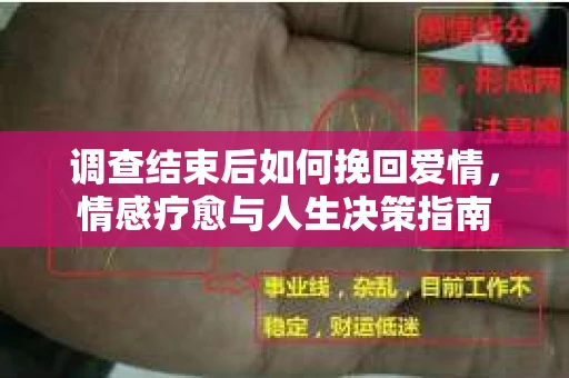 调查结束后如何挽回爱情，情感疗愈与人生决策指南