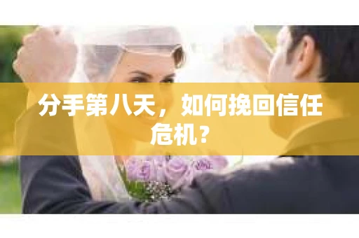 分手第八天，如何挽回信任危机？