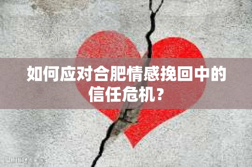 如何应对合肥情感挽回中的信任危机？