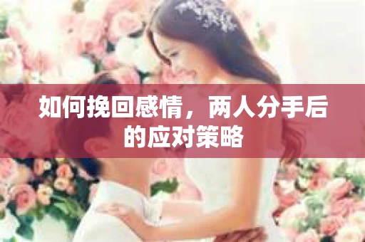 如何挽回感情,两人分手后的应对策略 如何挽回感情,两人分手后的应对策略